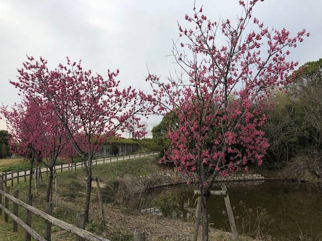 馬見丘陵公園