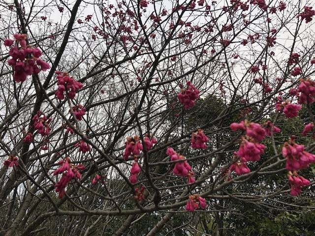 馬見丘陵公園