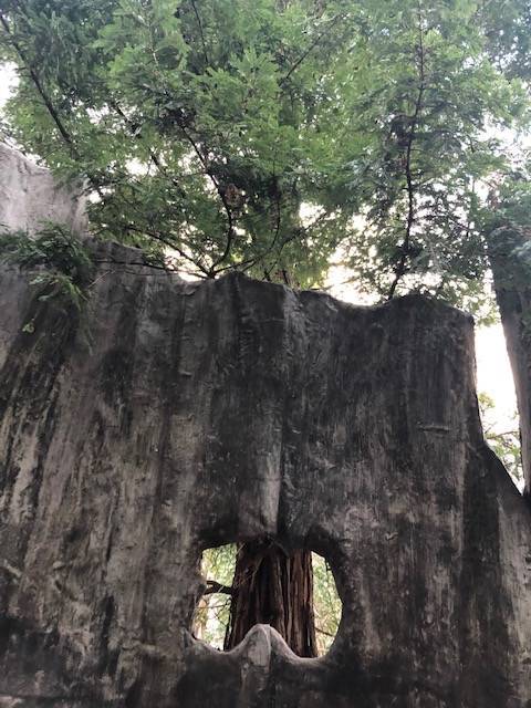 馬見丘陵公園