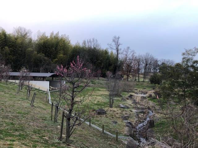 馬見丘陵公園