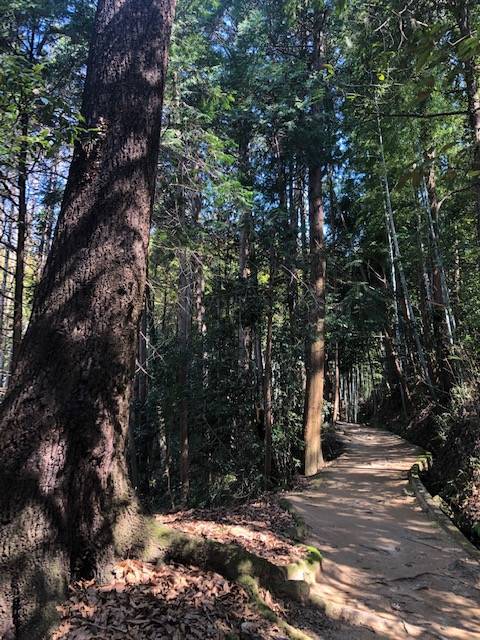平等寺付近の山の辺の道 山の辺の道