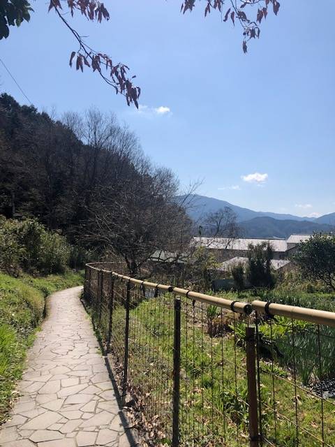 金屋の石仏付近 山の辺の道