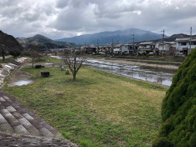 大和川東側 金屋河川敷公園