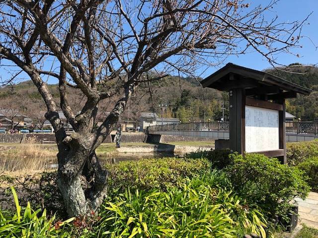 金屋河川敷公園