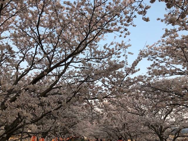 金屋河川敷公園