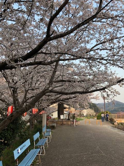 金屋河川敷公園