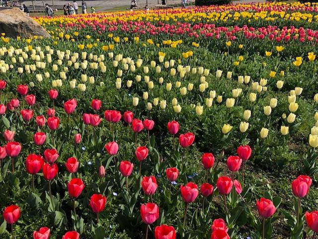 馬見丘陵公園