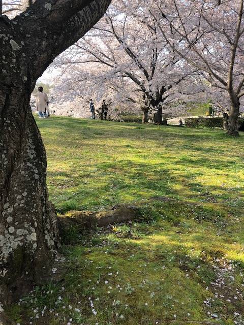 馬見丘陵公園
