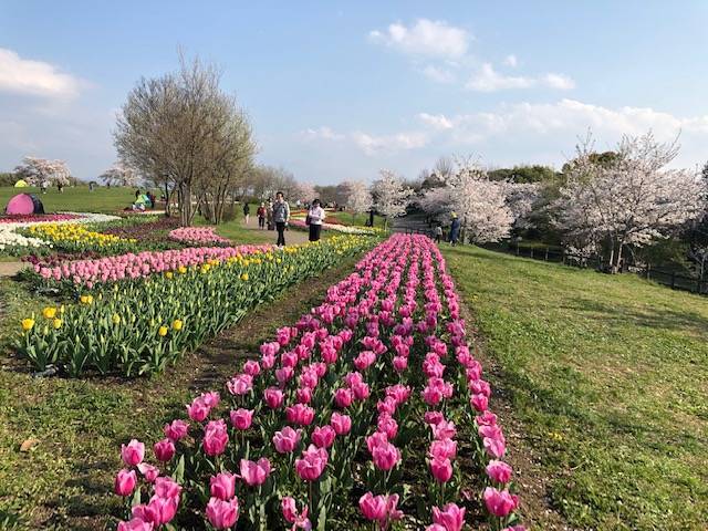 馬見丘陵公園