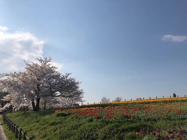 馬見丘陵公園