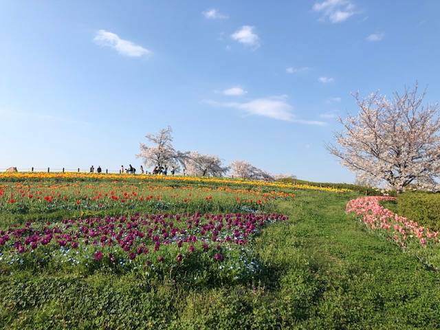 馬見丘陵公園