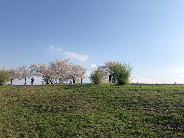 馬見丘陵公園