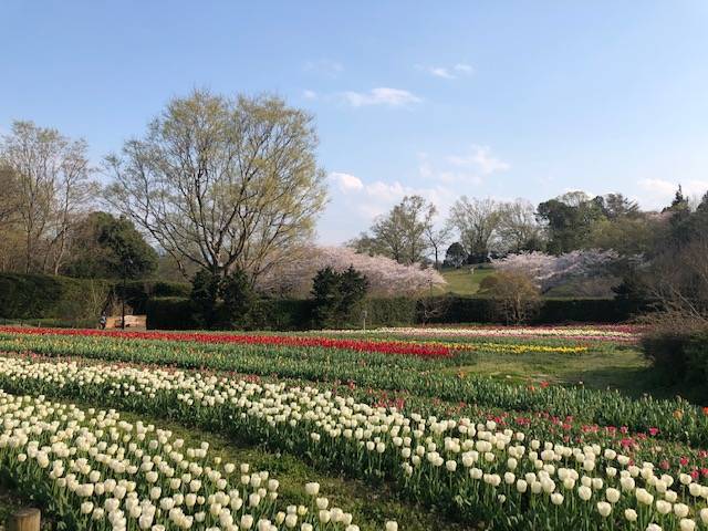 馬見丘陵公園