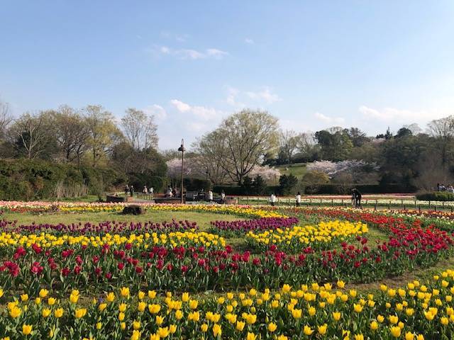 馬見丘陵公園