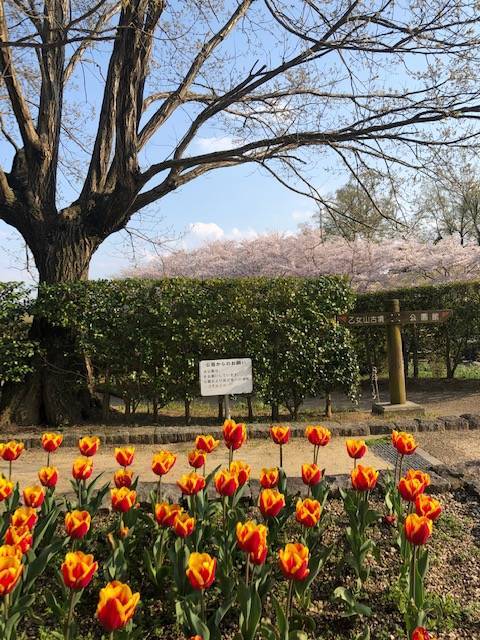 馬見丘陵公園
