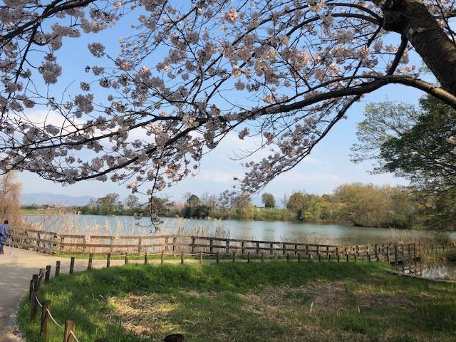 馬見丘陵公園