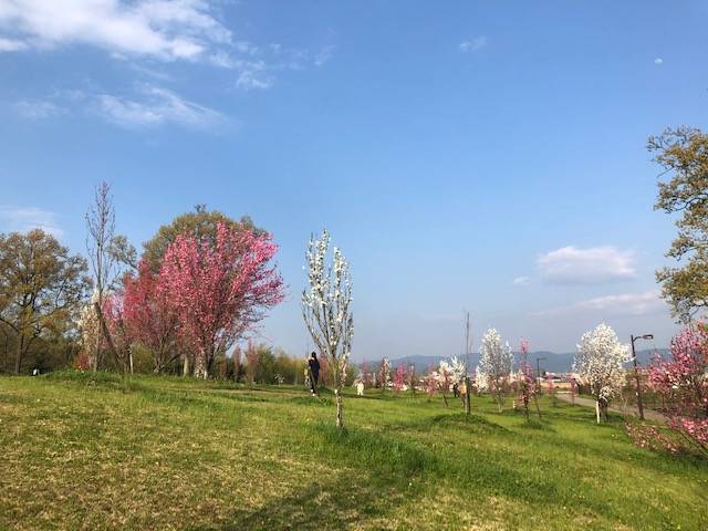 馬見丘陵公園