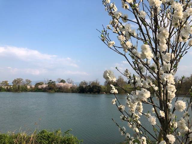 馬見丘陵公園