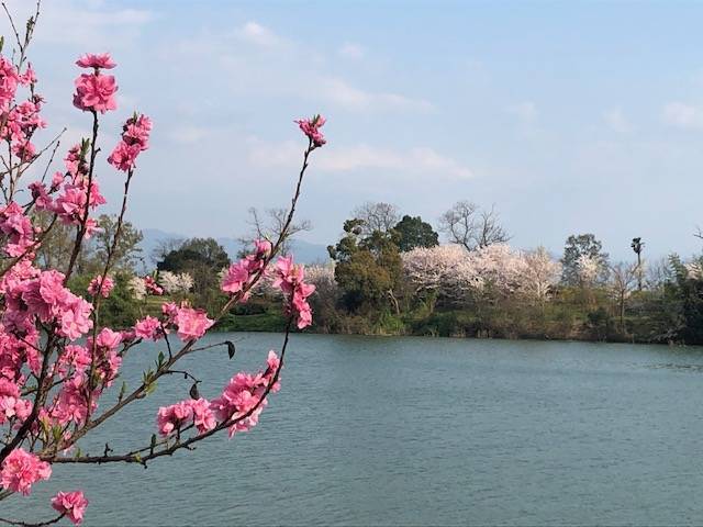 馬見丘陵公園