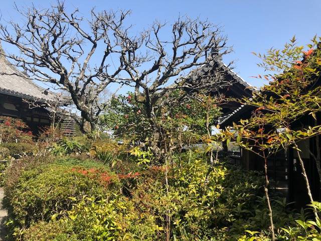 聖林寺