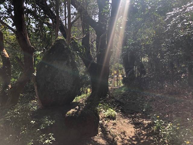 聖林寺