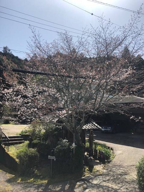 聖林寺