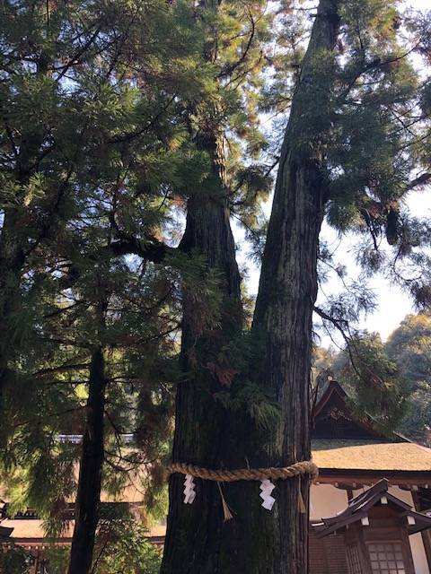 大神神社
