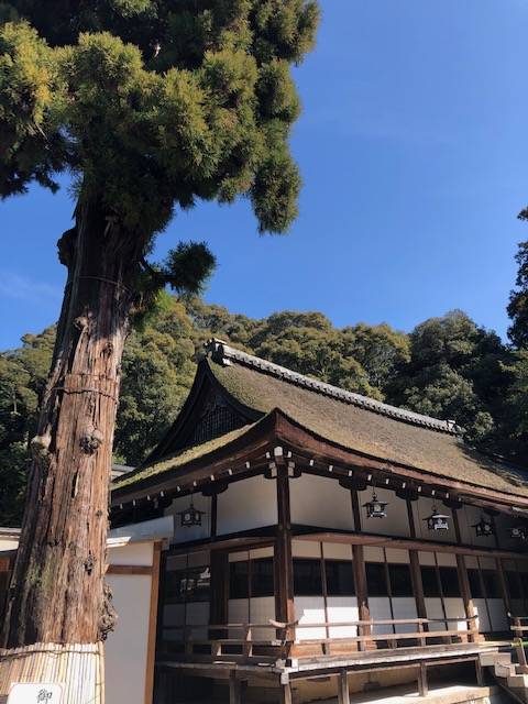 大神神社