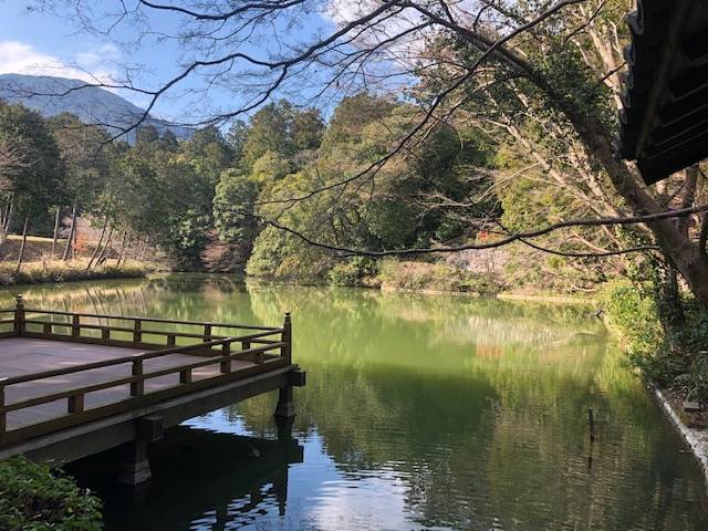 高鴨神社