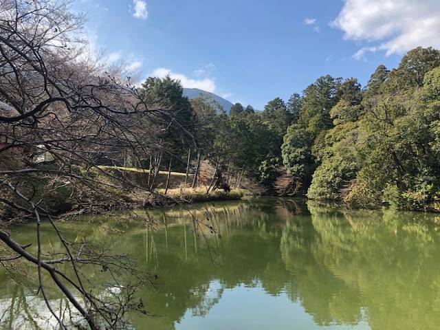 高鴨神社