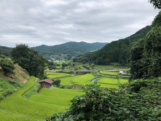 どこか懐かしい風景 明日香村 稲渕の棚田 と 案山子ロード Kumakuma Blog クマ子の奈良歩き