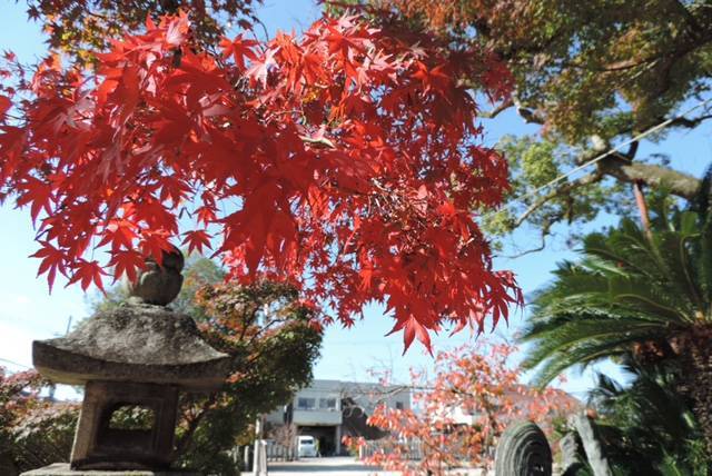 龍田神社