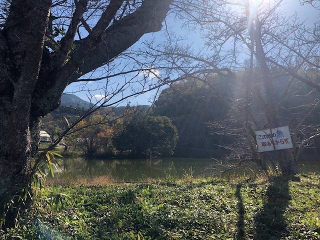 内山永久寺跡