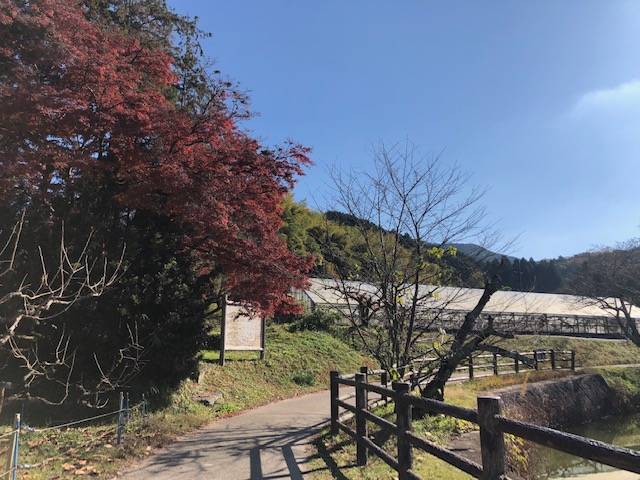 内山永久寺跡