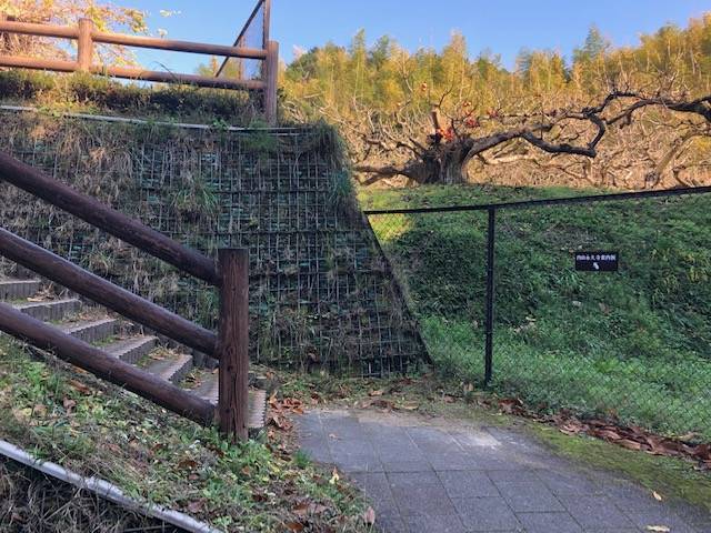 内山永久寺跡