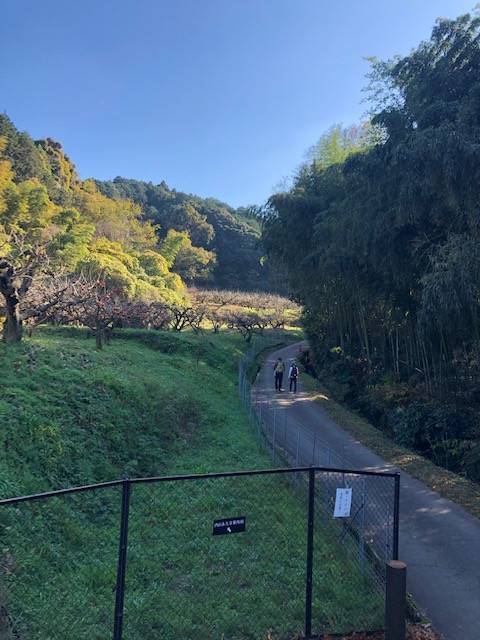 内山永久寺跡