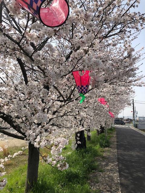 結崎面塚公園