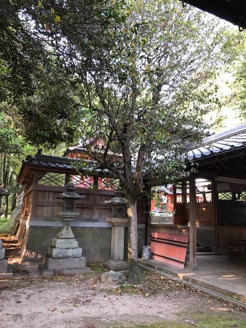 糸井神社