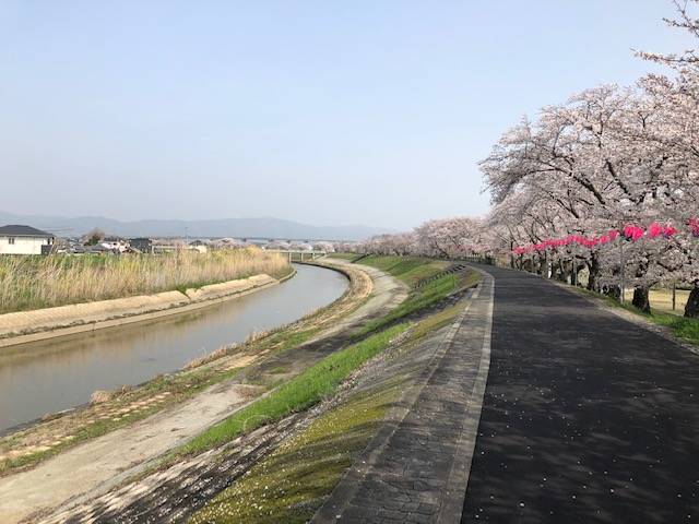 結崎面塚公園