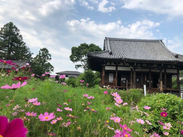 般若寺