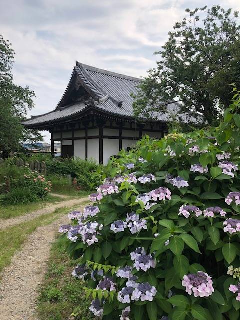 般若寺