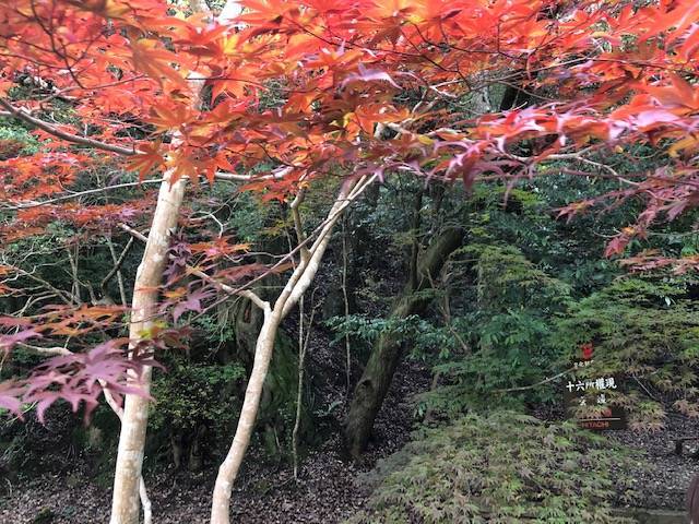霊山寺