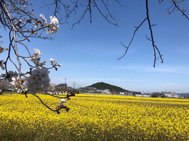 耳成山