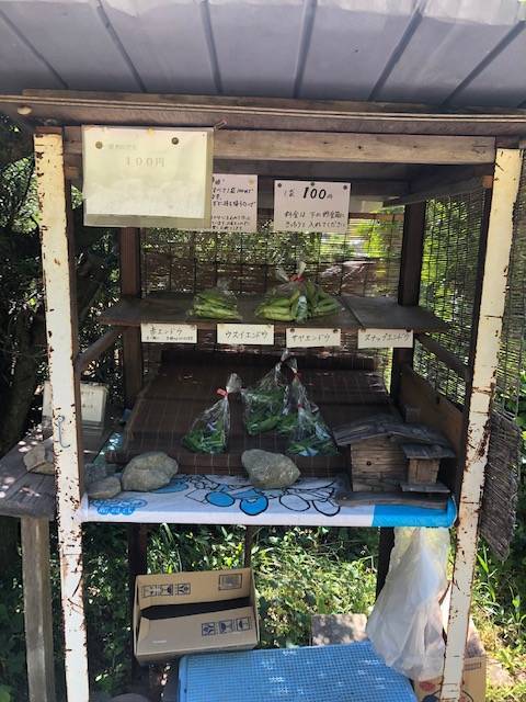 山の辺の道
