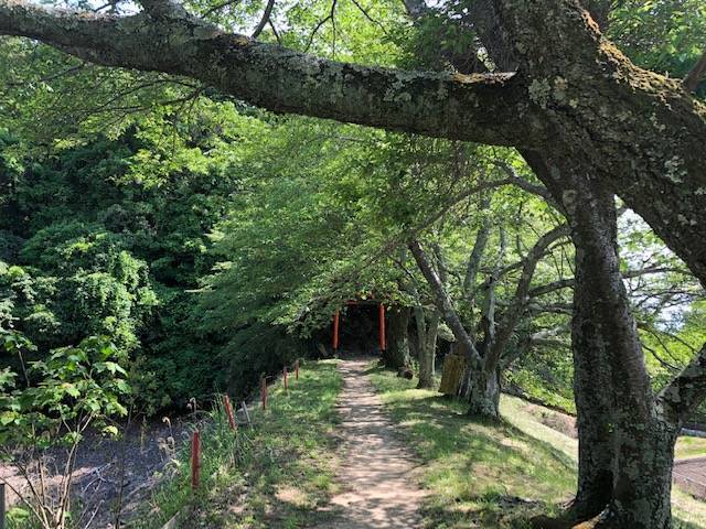 八大辯財大神