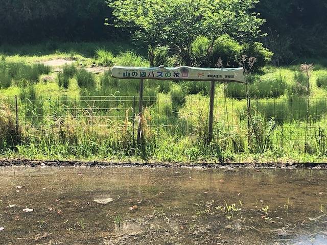 山の辺の道