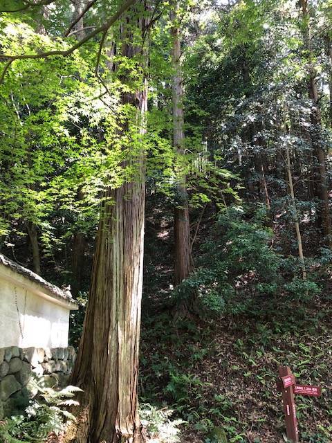 玄賓庵