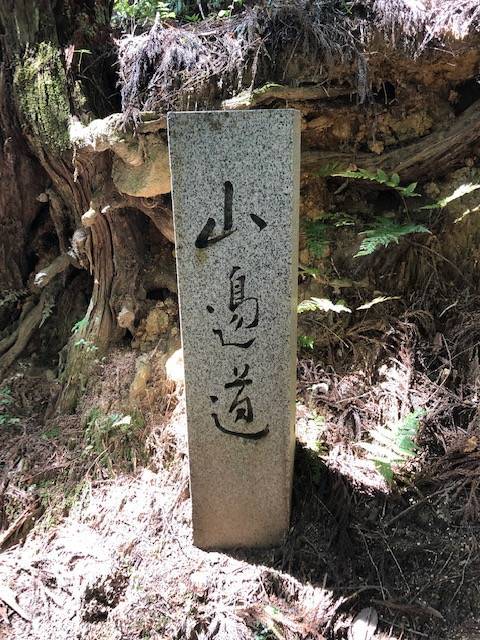 山の辺の道
