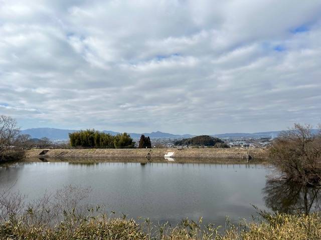 井寺池