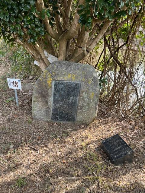 井寺池